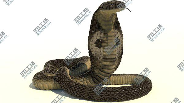 images/goods_img/20210312/Indian Cobra Rigged Animated 3D/1.jpg